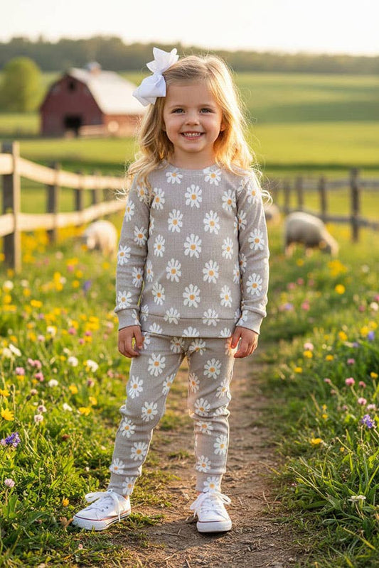 Daisy sweatshirts & pant girls clothing sets